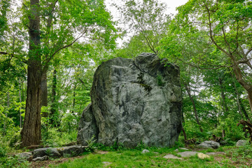 Glacial erratic - giant rock