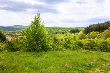Fototapeta na wymiar Bulgarian rural town Malco Tarnovo, green landscape, Bulgaria