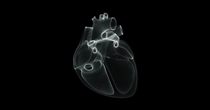 Hologram representation screen 3d of heart beating in the human body - loop