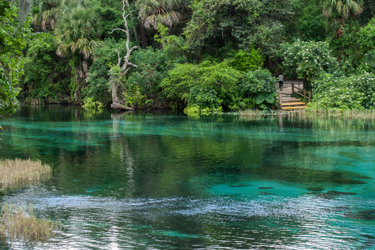 Turquois Springs at Rainbow Springs State Park.