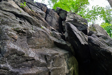 Glacial erratic - giant rock