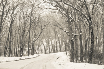 A country road winds through a snow covered leafless woods.
