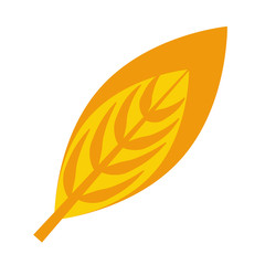 ecology leaf plant icon vector illustration