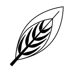 ecology leaf plant icon vector illustration
