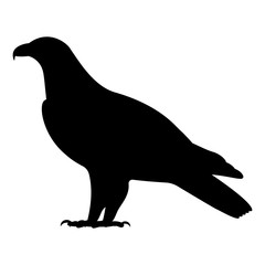 Vector black silhouette of a standing eagle