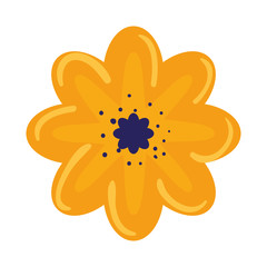 beautiful flower decorative icon vector illustration
