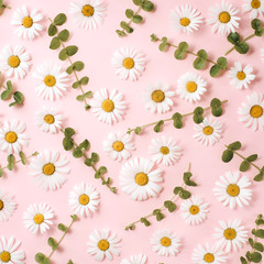 Pattern made of chamomile, petals, leaves on pink background. Flat lay, top view, copy space