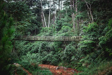 Wooden suspension bridge in the valley of Cu Lan Village, Dalat, Vietnam