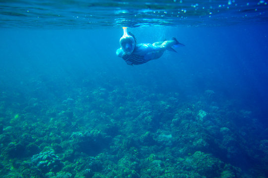 Woman dives in coral reef. Girl snorkeling in full-face mask. Snorkel person underwater photo. Snorkeling mask undersea