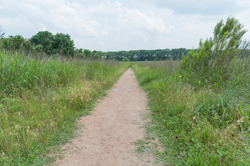 country road in the field