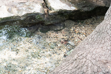 rocks in water