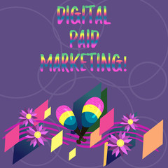 Word writing text Digital Paid Marketing. Business concept for marketing efforts that involve a paid placement Colorful Instrument Maracas Handmade Flowers and Curved Musical Staff