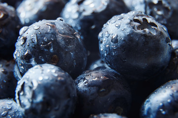 Nature background. Summer, spring concepts. Fresh blueberry background. Macro view of abstract nature texture and background organic pattern. Copy space. Macro shot. Texture blueberry berries close-up