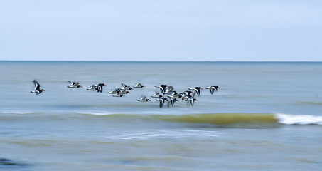 Botany Bay, Kent, UK