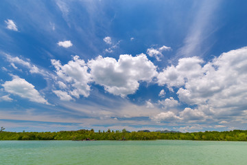 Beautiful sky, clear sea and mangrove forests on holidays in thailand