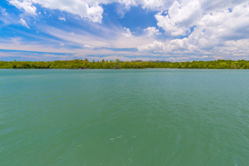 Beautiful sky, clear sea and mangrove forests on holidays in thailand