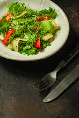 salad vegetables - tomato, lettuce, cheese, microgreen and salad dressing. food background. top