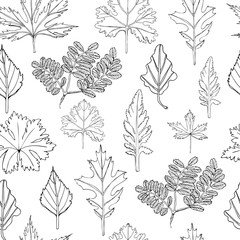 Seamless pattern with monochrome  leaves of trees and flowers. Hand drawn ink sketch isolated on white background.
