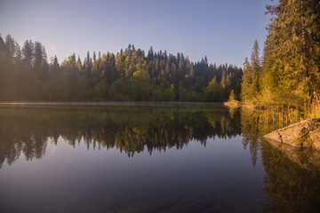 reflection of trees in lake, crestasee