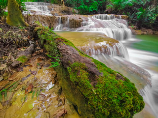 waterfall in forest