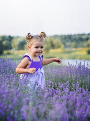 little girl walks in a lavender field against a lake