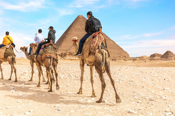 Tourists on camels near the Pyramids of Giza, Egypt