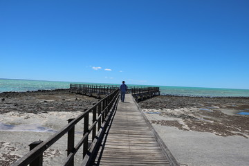 Hamelin Pool Marine Nature Reserve at Shark Bay., Western Australia