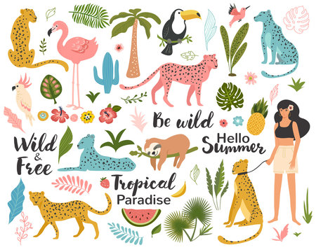 Tropical exotic set with leaf, leopards, parrot, toucan, palm tree and quotes. Wild animals and birds. Summer vector illustration.