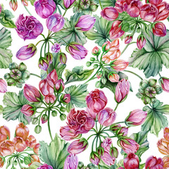 Beautiful floral background with pelargonium flowers and leaves. Seamless botanical pattern.  Watercolor painting. Hand painted floral illustration.