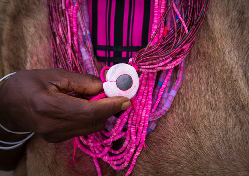 The Queen Of The Okwanyama Shell, Omhedi, Namibia