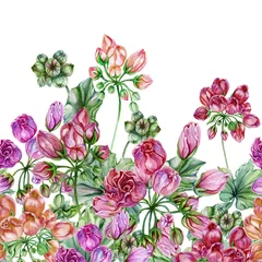 Foto op Plexiglas Beautiful tulip-flowered pelargoniums flowers with green leaves on white background. Seamless floral pattern, border. Watercolor painting. Hand painted illustration © katiko2016