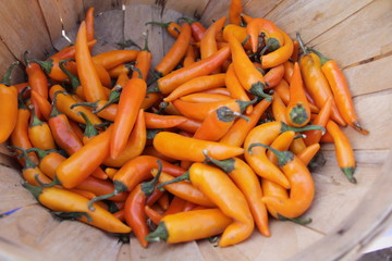 Orange and yellow chiles in a basket