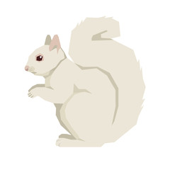 Wild animals Vector illustration of a white squirrel Isolated object Geometric style © nenilkime
