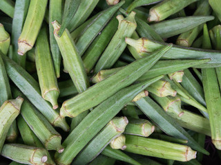 Okra or Lady's finger (bamies in Greek , Bhindi in India)