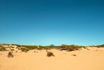 Sardegna, dune di sabbia a Piscinas, Italia