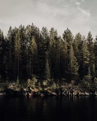 Afwasbaar Fotobehang Mistig bos lake in forest