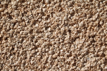 Mussel rock (Coquina) as building material in Denham in Western Australia