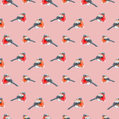 Watercolor drawing of bullfinches on a pink background.