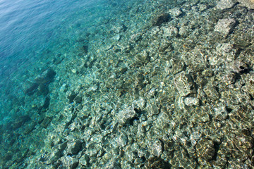 seawater