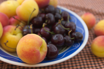 Naklejka na ściany i meble Fruit plate with varied seasonal fruits