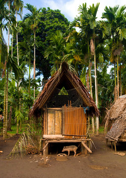 Traditional House, Trobriand Islands, Papua New Guinea