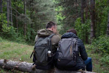 Couple of hikers sitting on a fall pine tree in the forest. Rear view