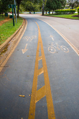 bike path in the park of Ibirapuera much used by athletaim of week, São Paulo Brazil