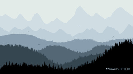 Tranquil backdrop, pine forests, mountains in the background. The blue tone, flying birds.