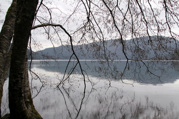 Seeim Winter