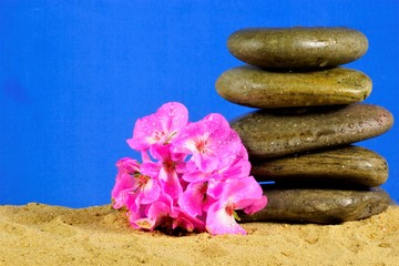 Sea stones - balance on sand and pink flower on blue background. Stones of natural origin drenched with sea water, for massage stone therapy, for treatment, for creative design.