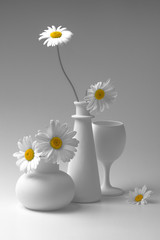 White still life with two vases, a wine glass and chamomile flowers.