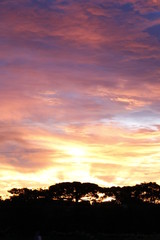 Fototapeta premium beautiful and colorfull sunset with tree shadows