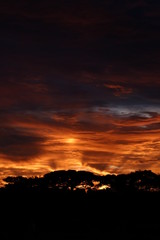 beautiful and colorfull sunset with tree shadows