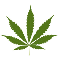 Marijuana cannabis leaf weed icon, medicine, drug